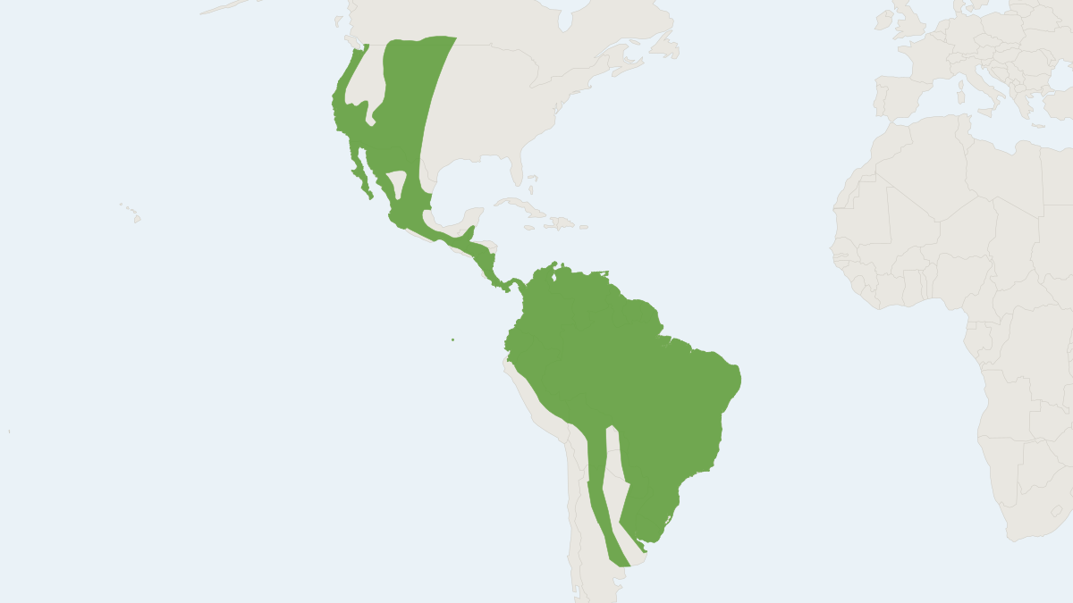Range map of the Southern Red Bat (Lasiurus blossevillii)