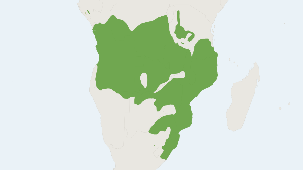 Range map of the Southern Reedbuck (Redunca arundinum)