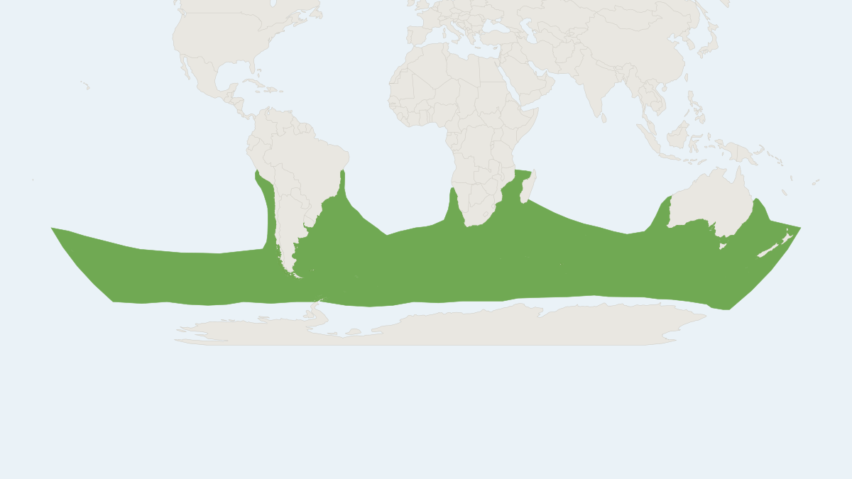 Range map of the Southern Right Whale (Eubalaena australis) covering Argentina, Australia and New Zealand