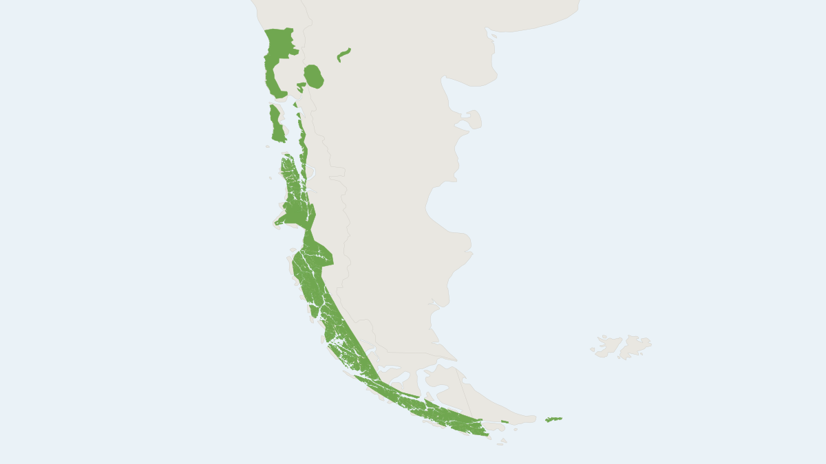 Range map of the Southern River Otter (Lontra provocax)