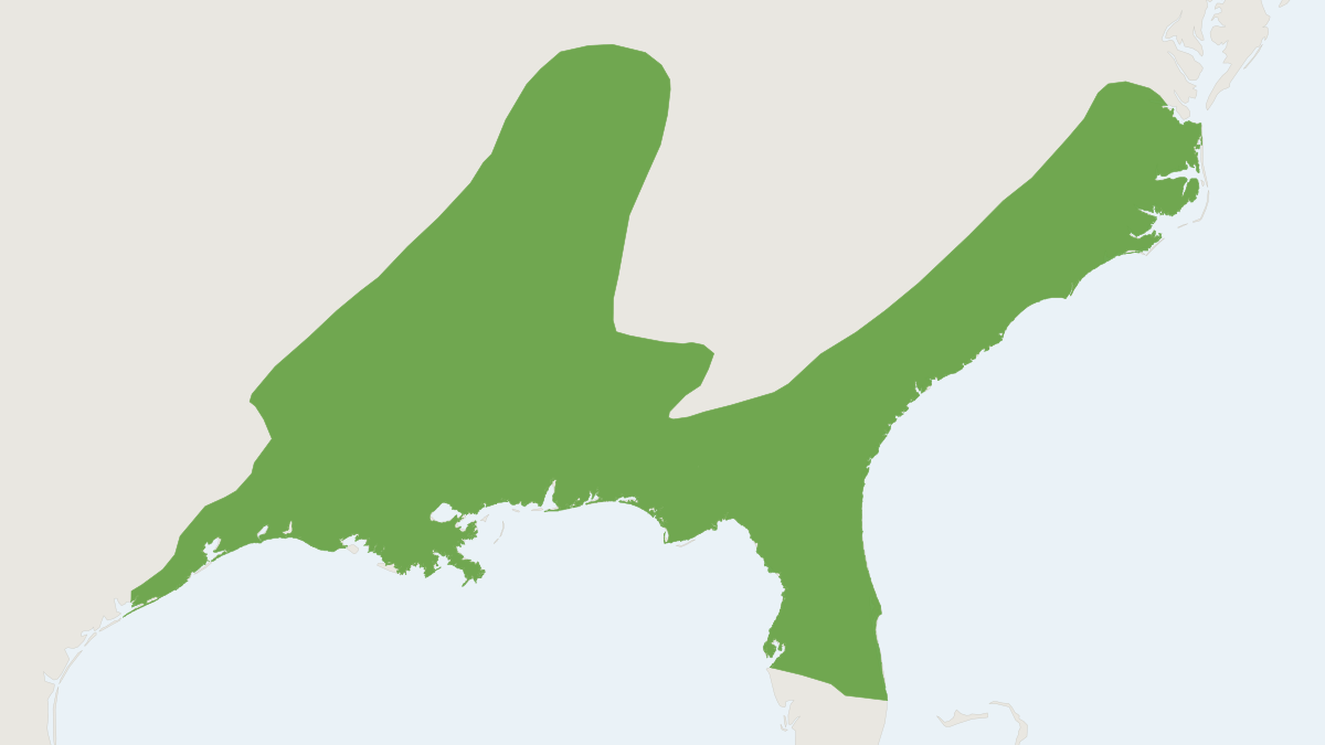 Range map of the Southern Short-tailed Shrew (Blarina carolinensis)
