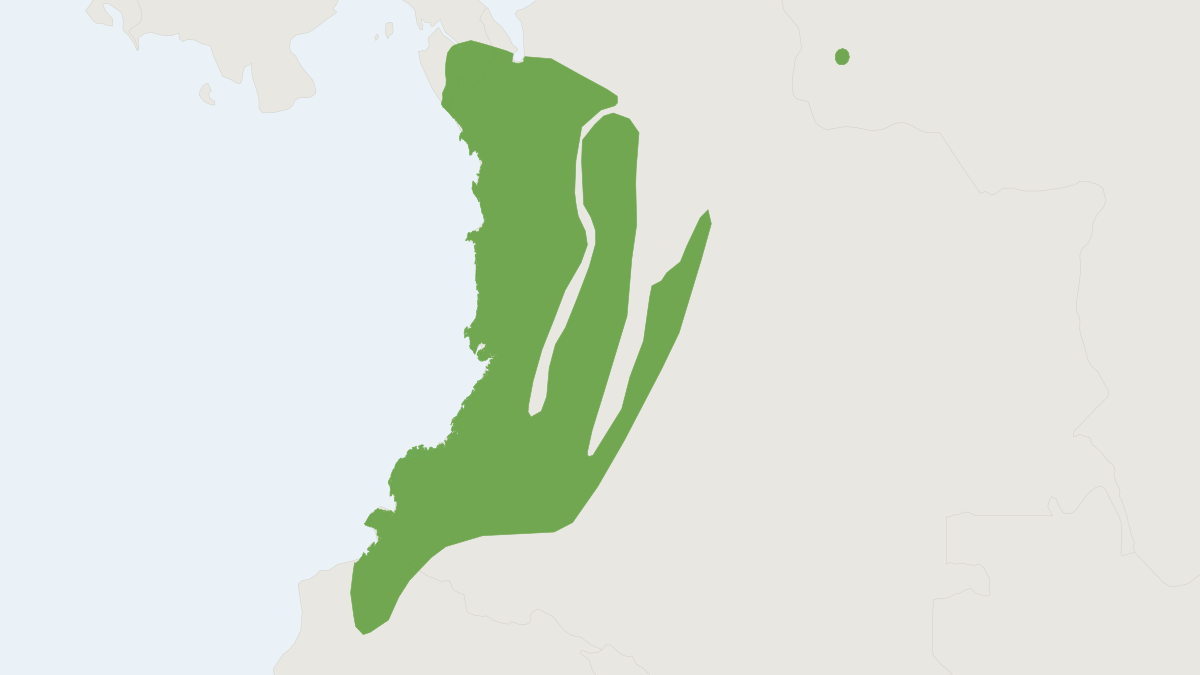 Range map of the Southern Spiny Pocket Mouse (Heteromys australis)