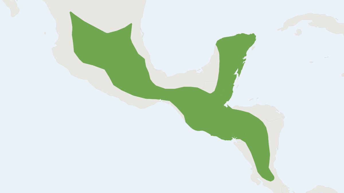 Range map of the Southern Spotted Skunk (Spilogale angustifrons)