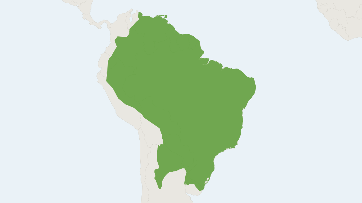 Range map of the Southern Tamandua (Tamandua tetradactyla) covering Argentina, Bolivia and Brazil