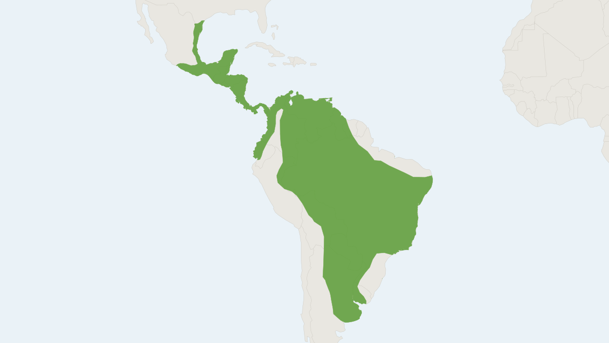 Range map of the Southern Yellow Bat (Lasiurus ega)