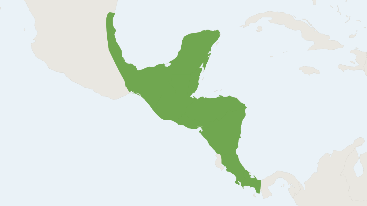 Range map of the Sowell’s Short-tailed Bat (Carollia sowelli)