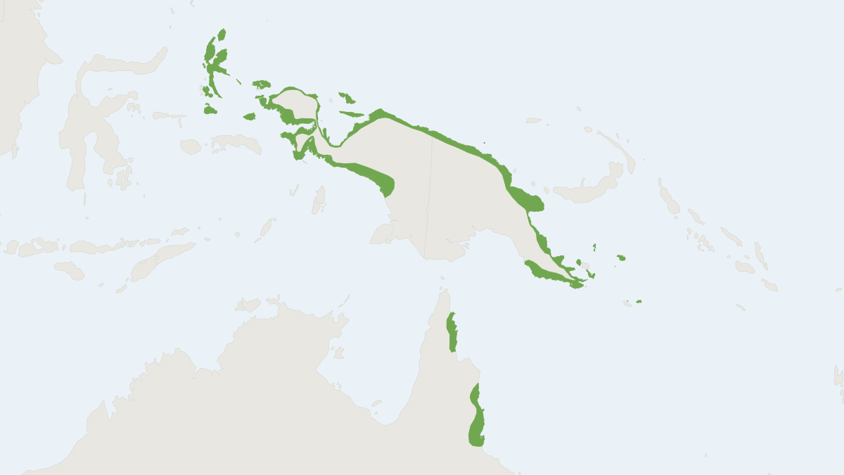 Range map of the Spectacled Flying Fox (Pteropus conspicillatus)