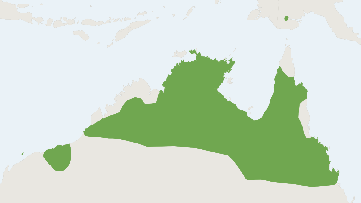 Range map of the Spectacled Hare-wallaby (Lagorchestes conspicillatus)
