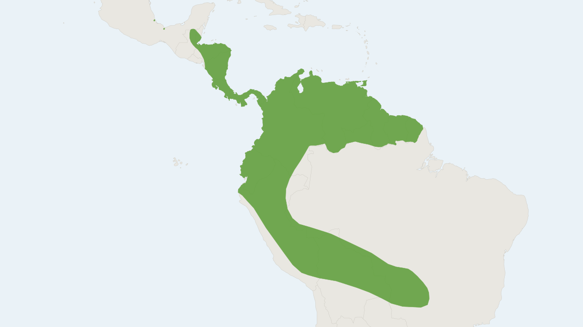 Range map of the Spectral Bat (Vampyrum spectrum)