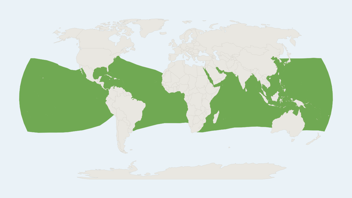 Range map of the Spinner Dolphin (Stenella longirostris) covering Indonesia, Mexico and Philippines