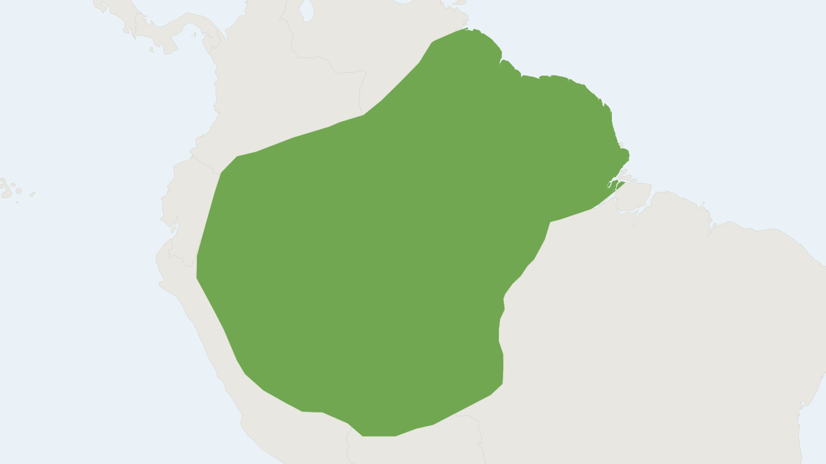 Range map of the Spiny Tree Rat (Mesomys hispidus)