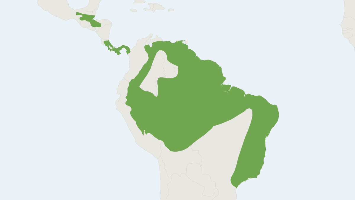 Range map of the Spix's Disk-winged Bat (Thyroptera tricolor)