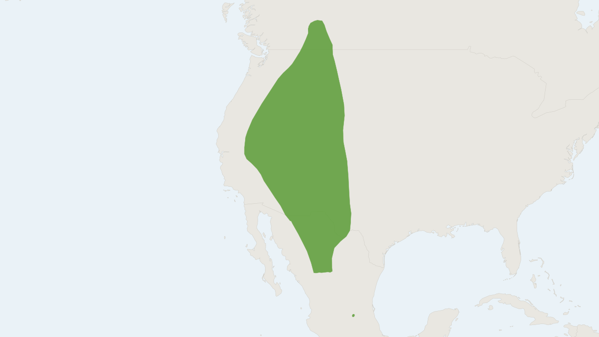 Range map of the Spotted Bat (Euderma maculatum)