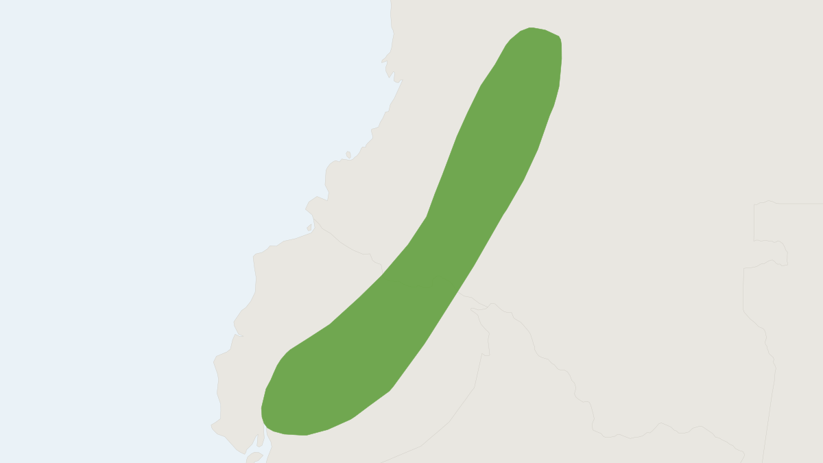 Range map of the Spotted Bolo Mouse (Necromys punctulatus) covering Bolivia and Peru