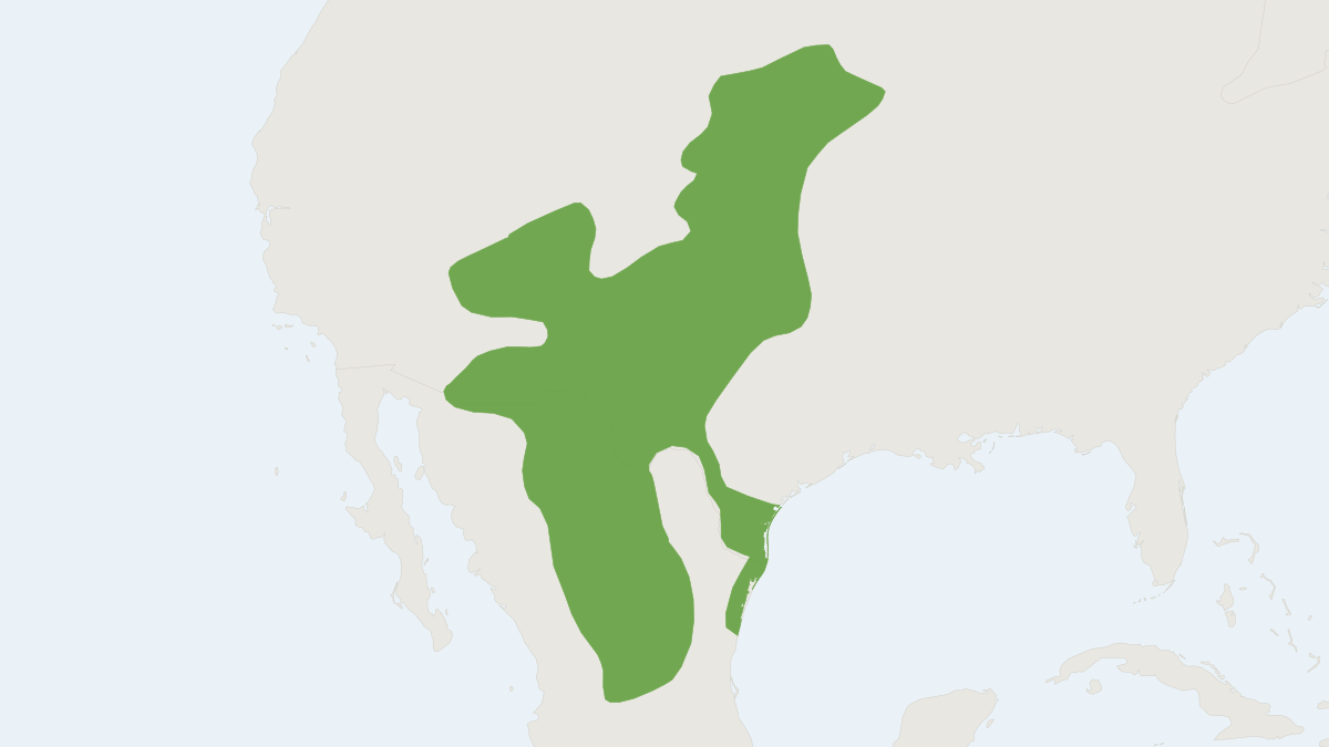 Range map of the Spotted Ground Squirrel (Xerospermophilus spilosoma)