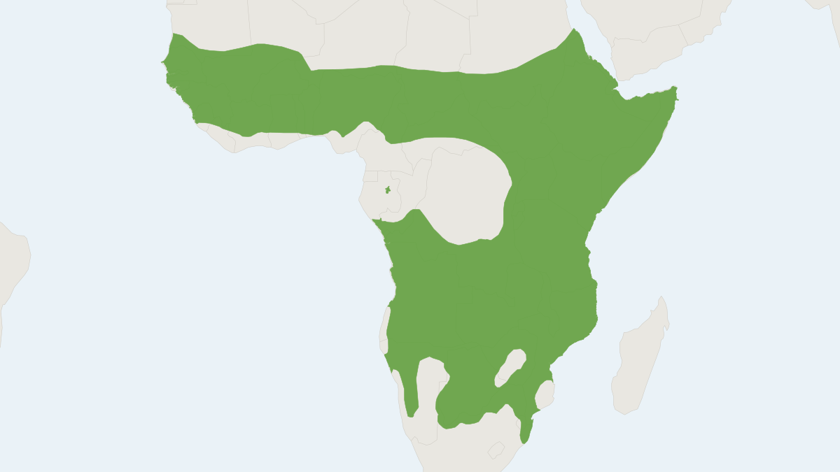 Range map of the Spotted Hyaena (Crocuta crocuta) covering Democratic Republic of the Congo, Ethiopia and Mauritania