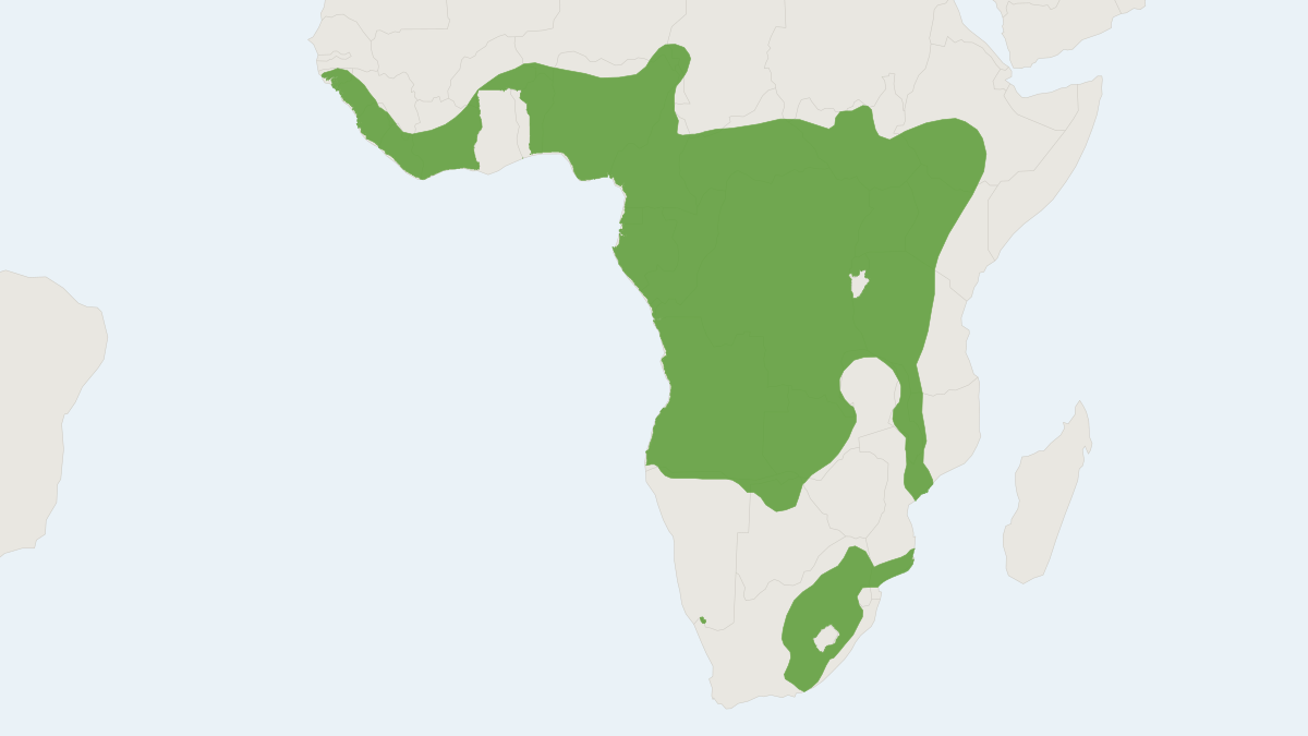 Range map of the Spotted-necked Otter (Hydrictis maculicollis)