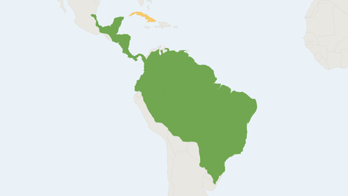 Range map of the Spotted Paca (Cuniculus paca) covering Argentina, Belize and Bolivia