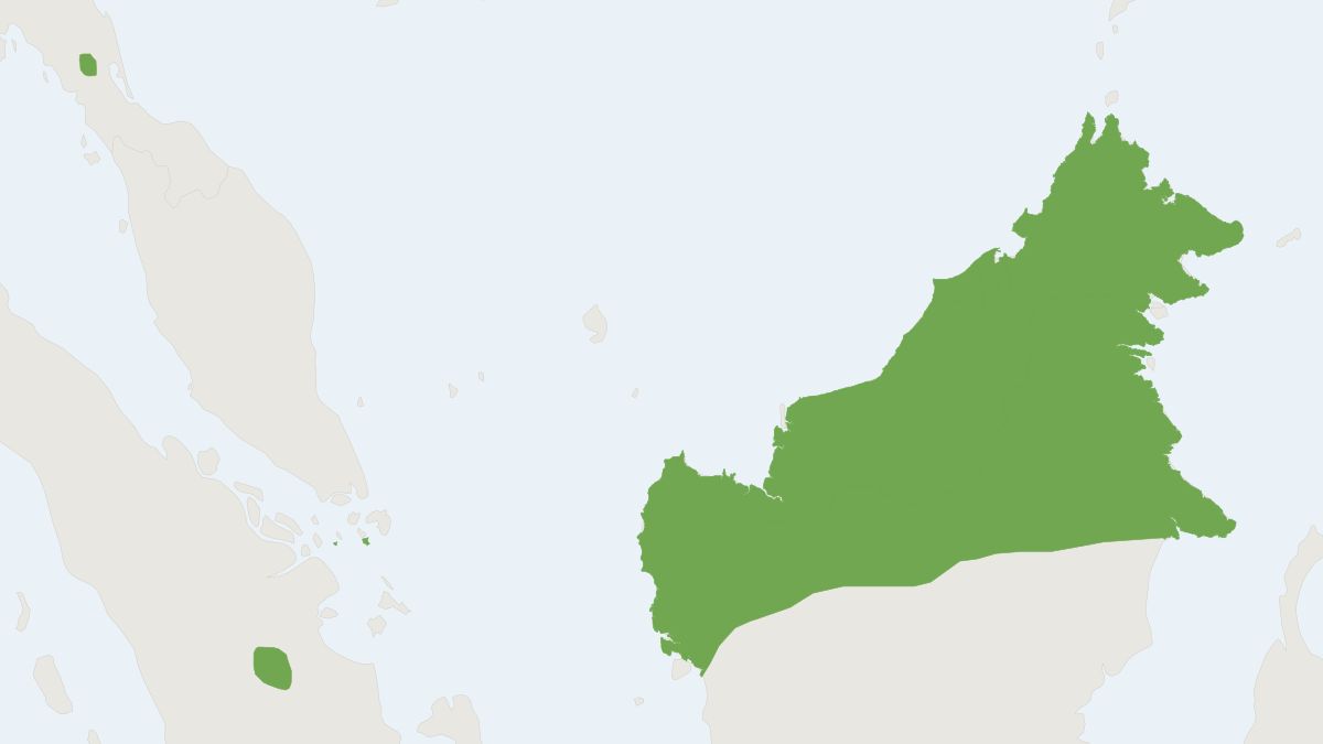 Range map of the Spotted-winged Fruit Bat (Balionycteris maculata)