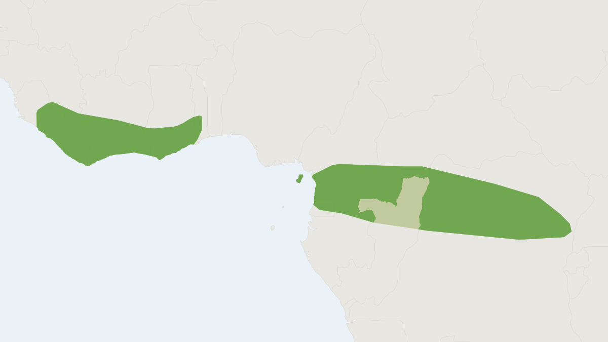 Range map of the Spurrell's Mops Bat (Mops spurrelli)