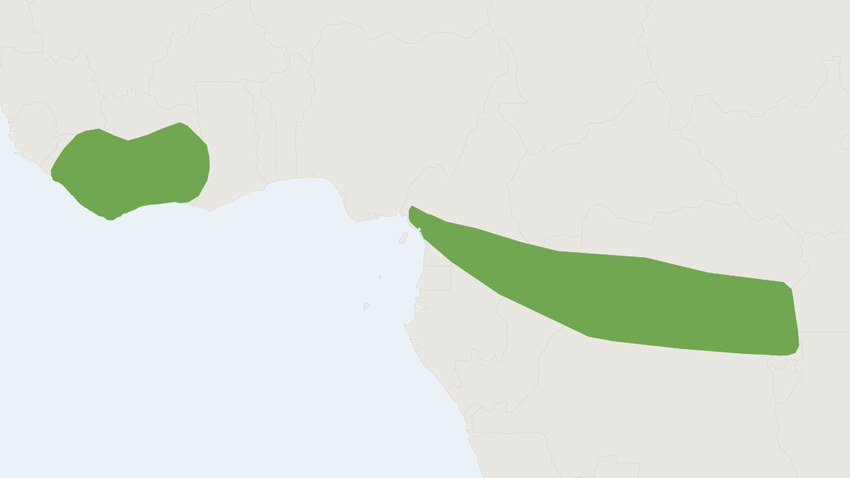 Range map of the Spurrell's Woolly Bat (Kerivoula phalaena)