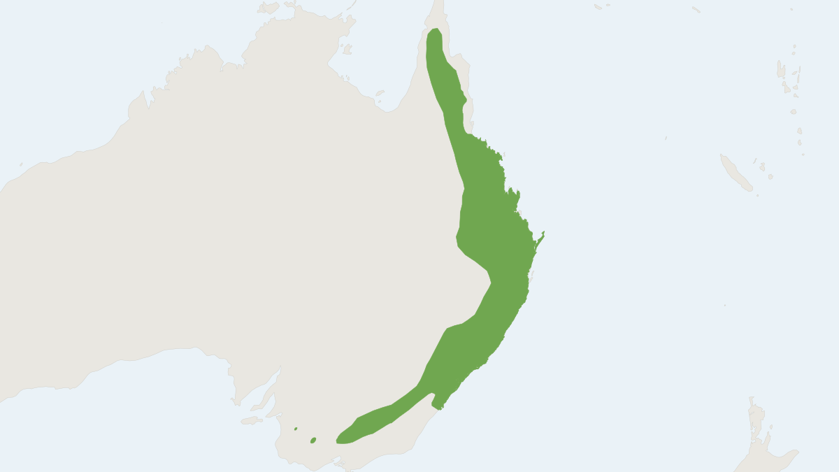 Range map of the Squirrel Glider (Petaurus norfolcensis)