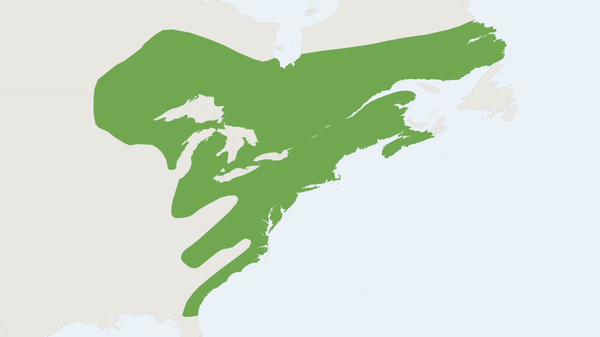 Range map of the Star-nosed Mole (Condylura cristata) covering Canada, Georgia and United States