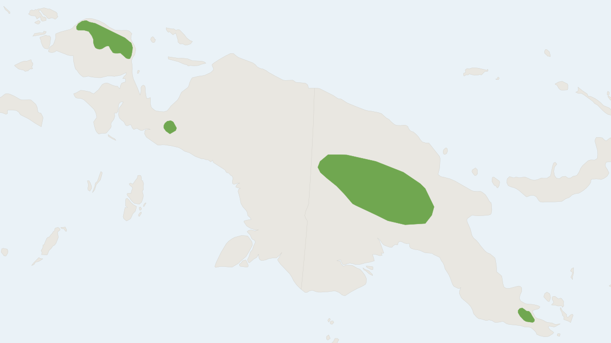 Range map of the Stein's Cuscus (Phalanger vestitus)
