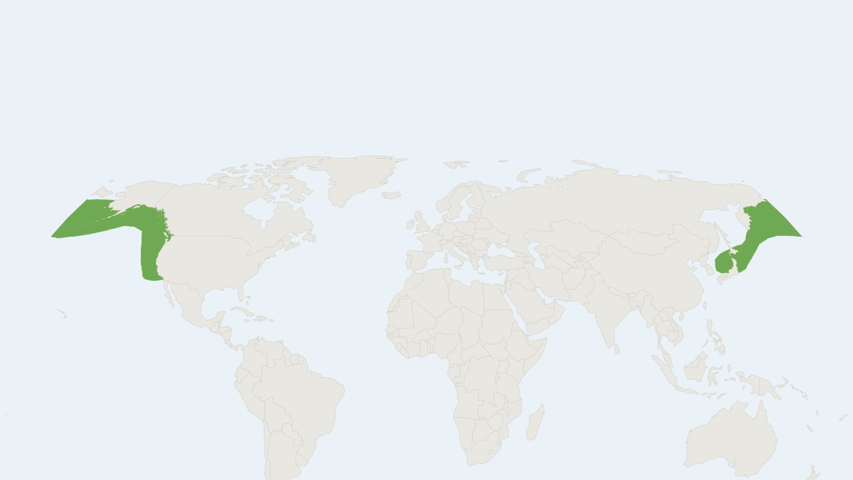Range map of the Stejneger's Beaked Whale (Mesoplodon stejnegeri)