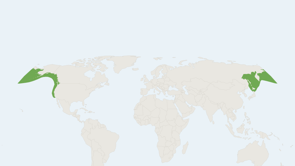 Range map of the Steller Sea Lion (Eumetopias jubatus) covering Canada, Japan and Russia
