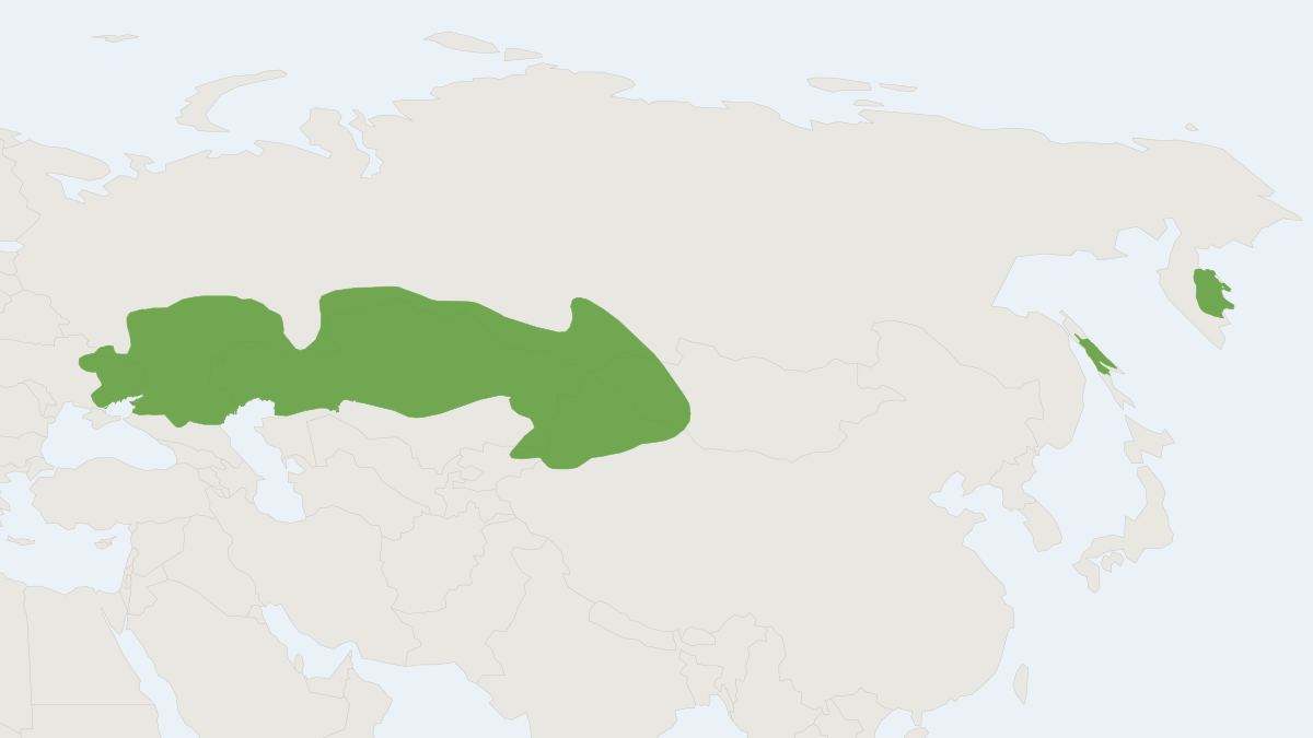 Range map of the Steppe Lemming (Lagurus lagurus)