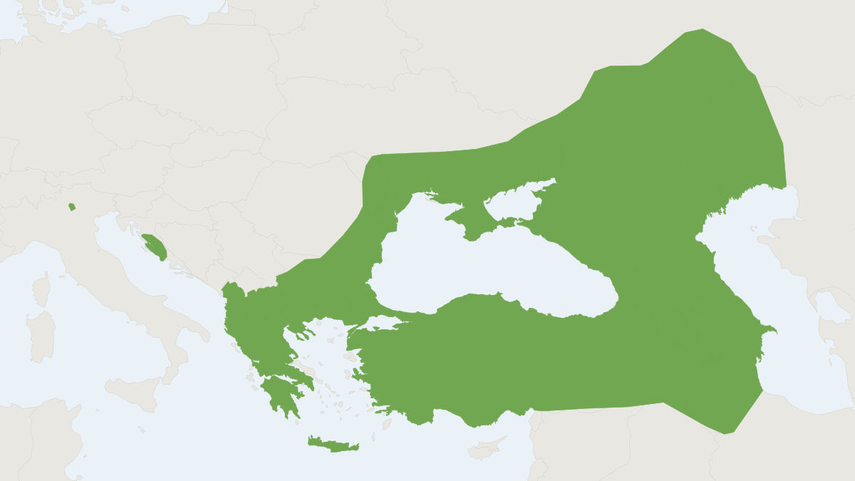 Range map of the Steppe Whiskered Bat (Myotis aurascens)