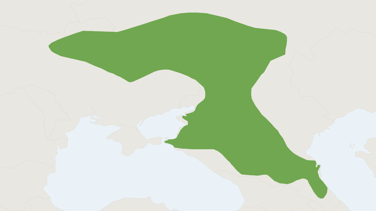 Range map of the Strand's Birch Mouse (Sicista strandi)