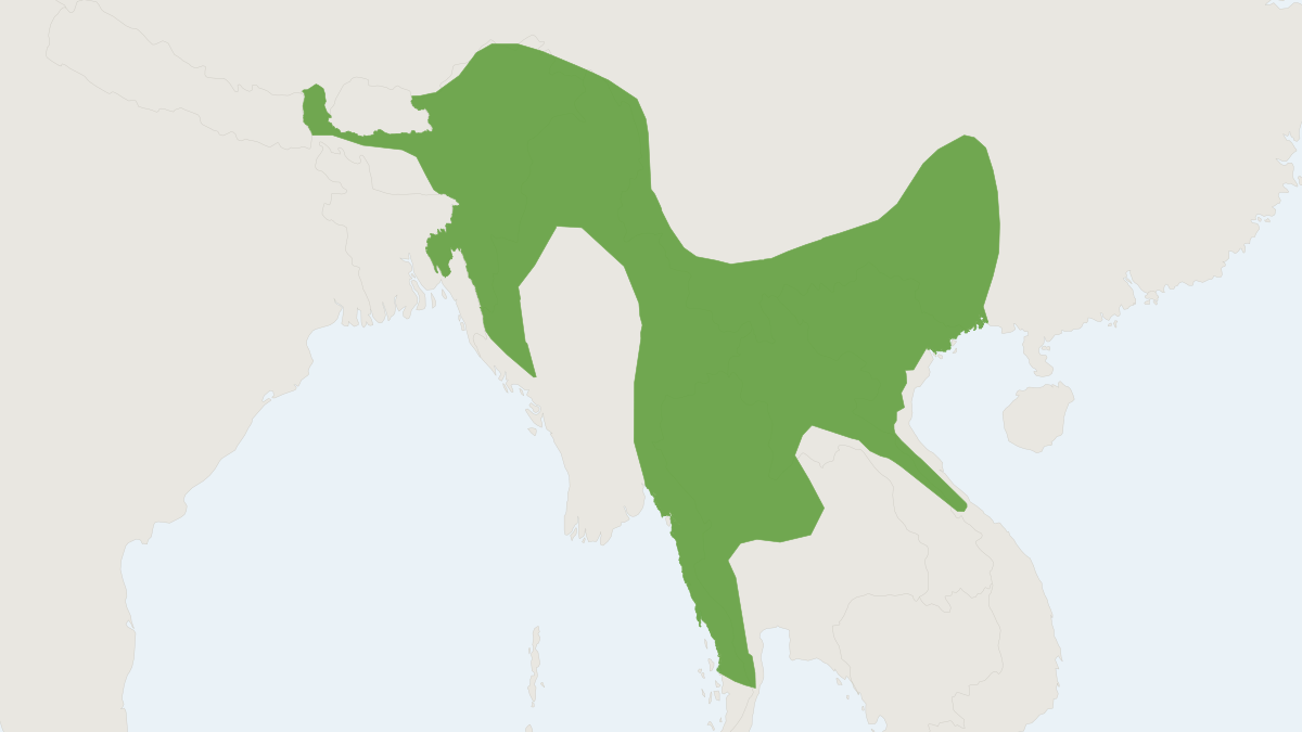 Range map of the Stripe-backed Weasel (Mustela strigidorsa)