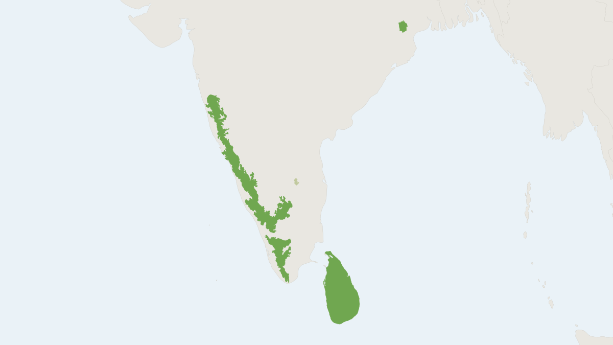 Range map of the Stripe-necked Mongoose (Urva vitticolla)