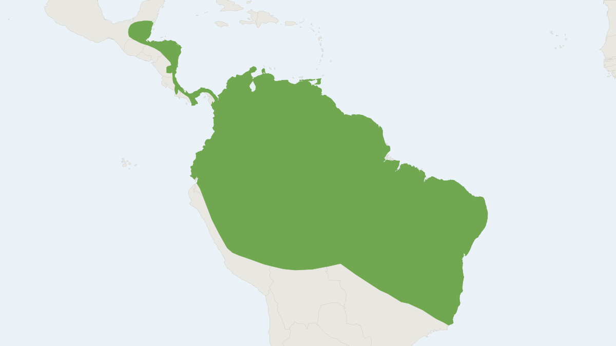 Range map of the Striped Hairy-nosed Bat (Gardnerycteris crenulatum)