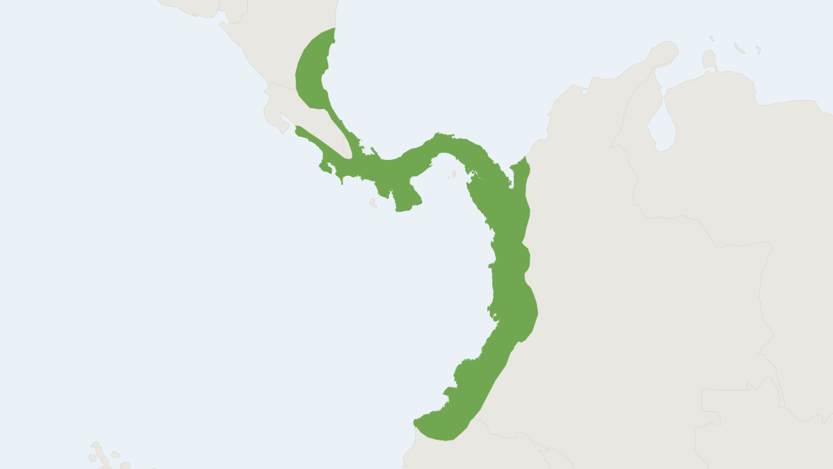 Range map of the Striped Yellow-eared Bat (Vampyriscus nymphaea)