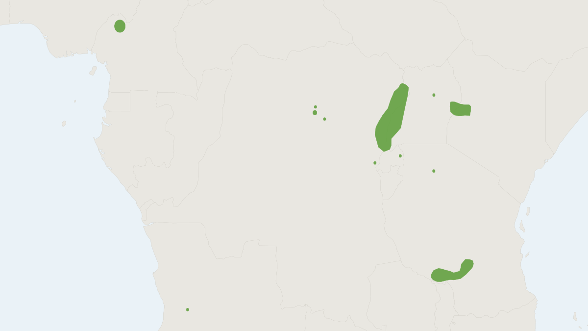 Range map of the Stuhlmann's Golden Mole (Chrysochloris stuhlmanni)