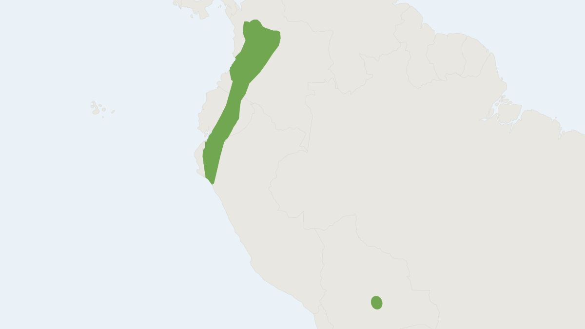 Range map of the Stump-tailed Porcupine (Coendou rufescens)