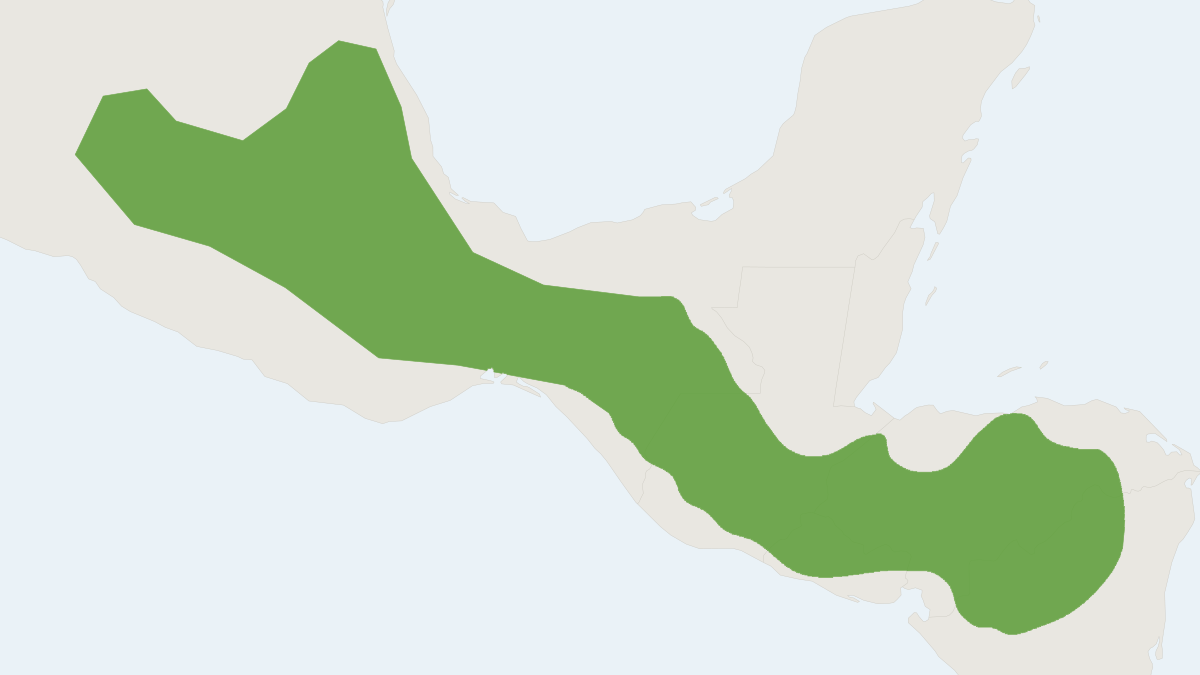 Range map of the Sturnira hondurensis (Sturnira hondurensis)