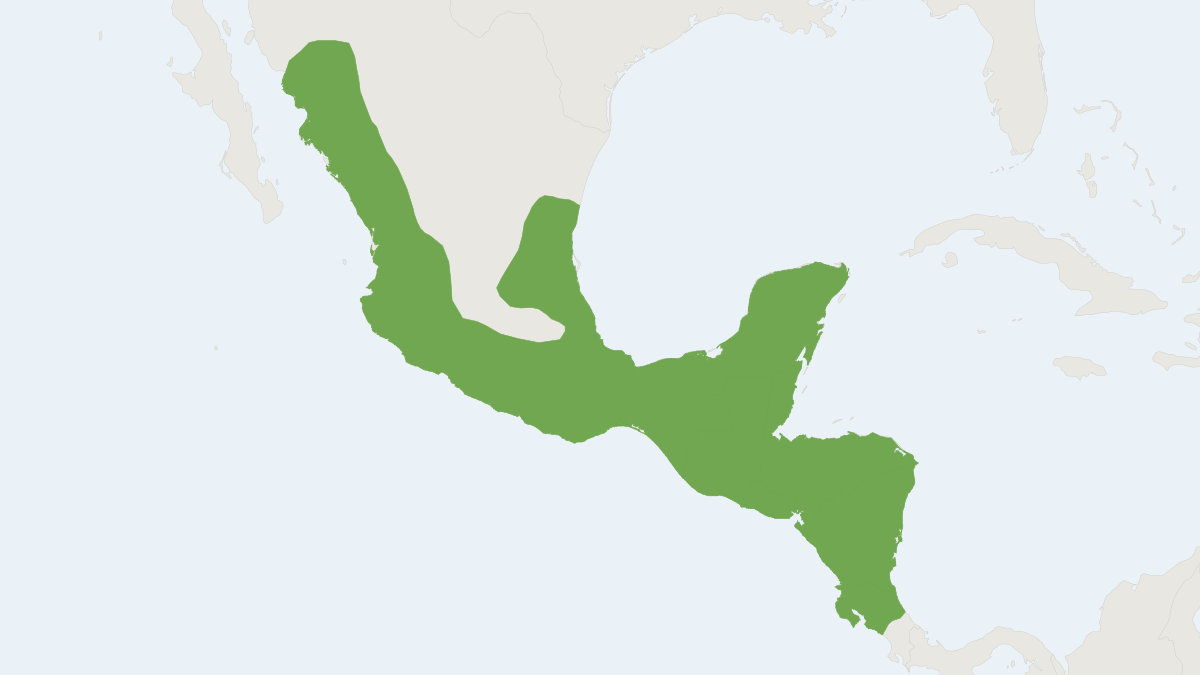 Range map of the Sturnira parvidens (Sturnira parvidens)