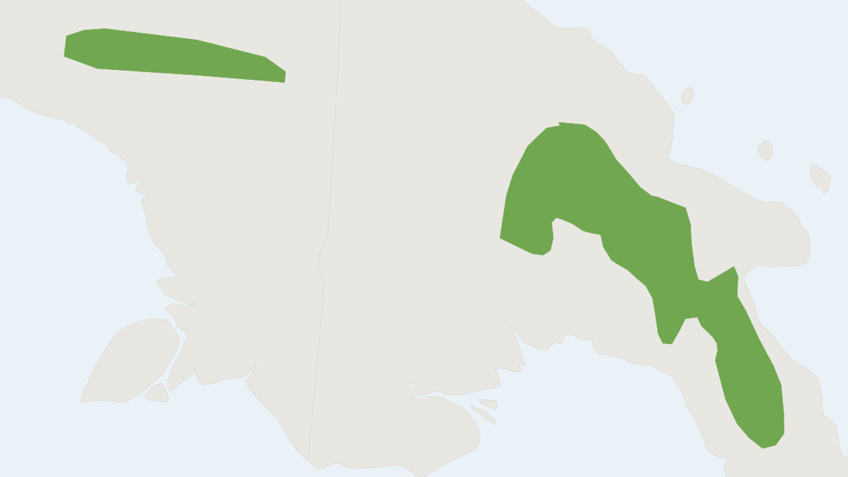Range map of the Subalpine Woolly Rat (Mallomys istapantap)