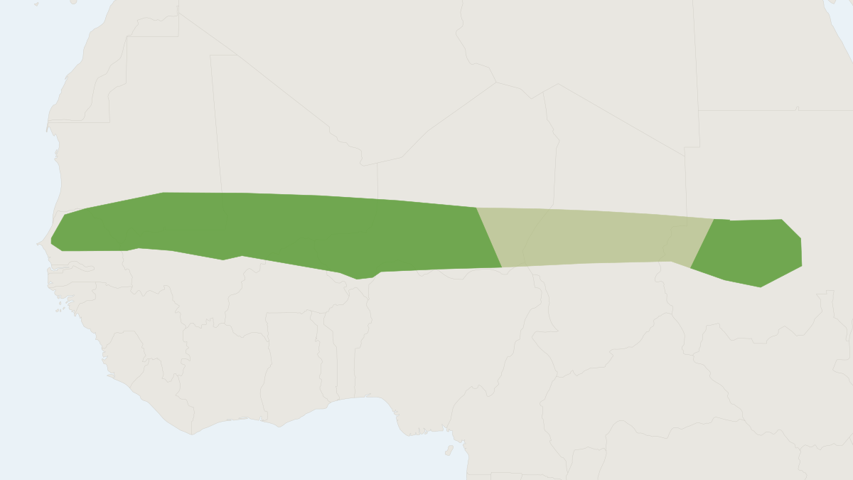 Range map of the Sudan Gerbil (Gerbillus nancillus)