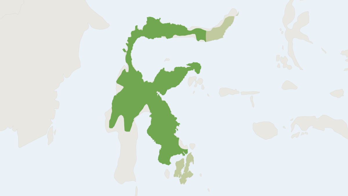 Range map of the Sulawesi Babirusa (Babyrousa celebensis) covering Indonesia