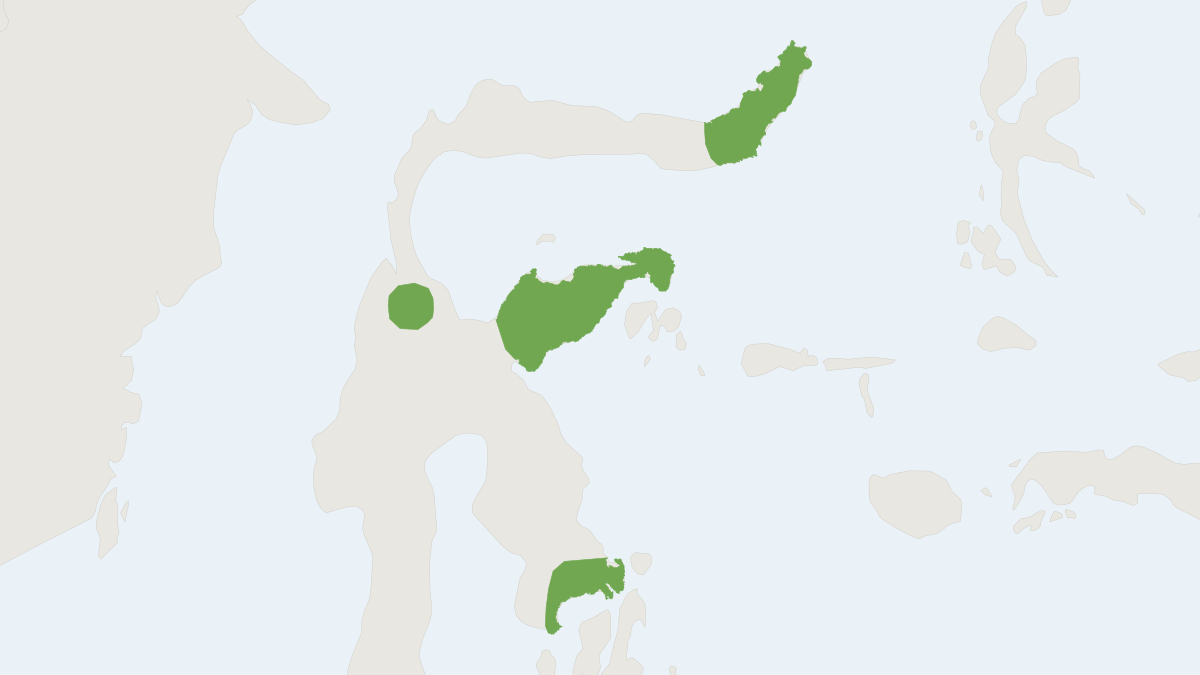 Range map of the Sulawesi Civet (Macrogalidia musschenbroekii)