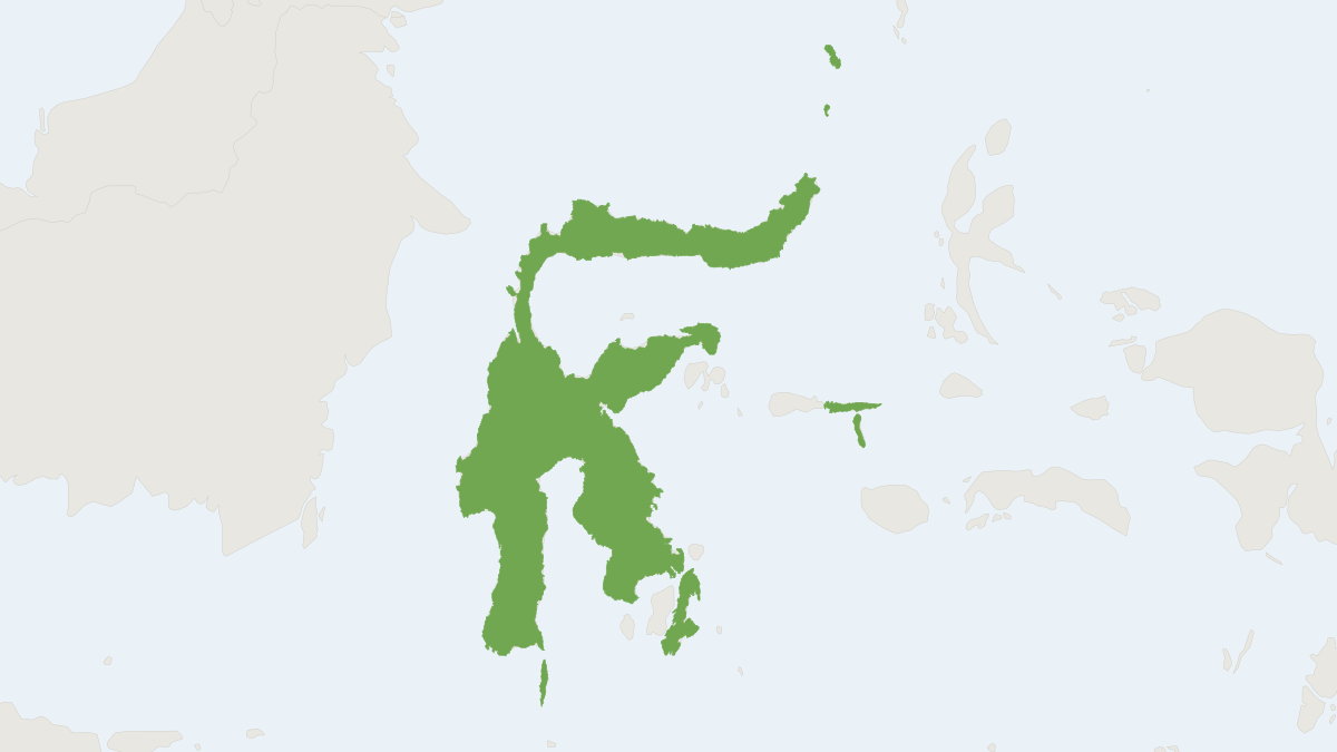 Range map of the Sulawesi Fruit Bat (Acerodon celebensis) covering Indonesia