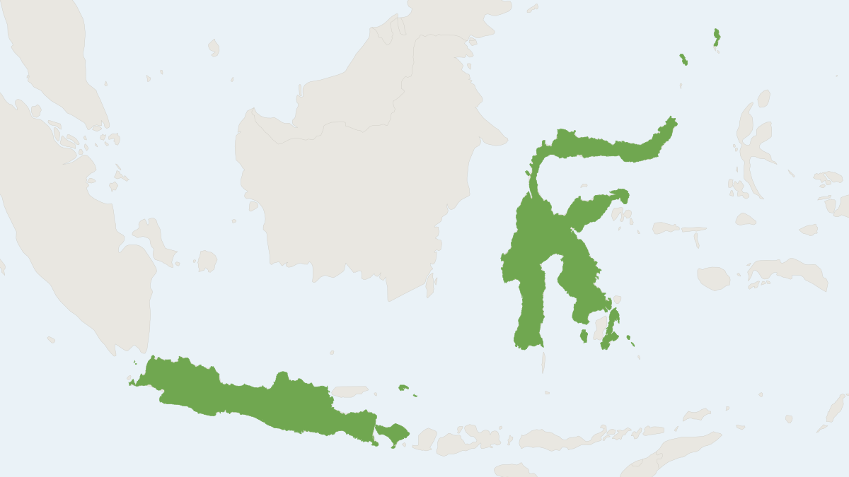 Range map of the Sulawesi Horseshoe Bat (Rhinolophus celebensis)