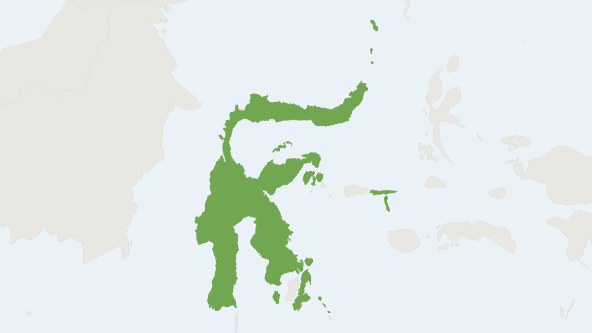 Range map of the Sulawesi Rousette (Pilonycteris celebensis)