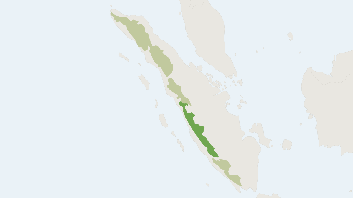 Range map of the Sumatran Mountain Muntjac (Muntiacus montanus)