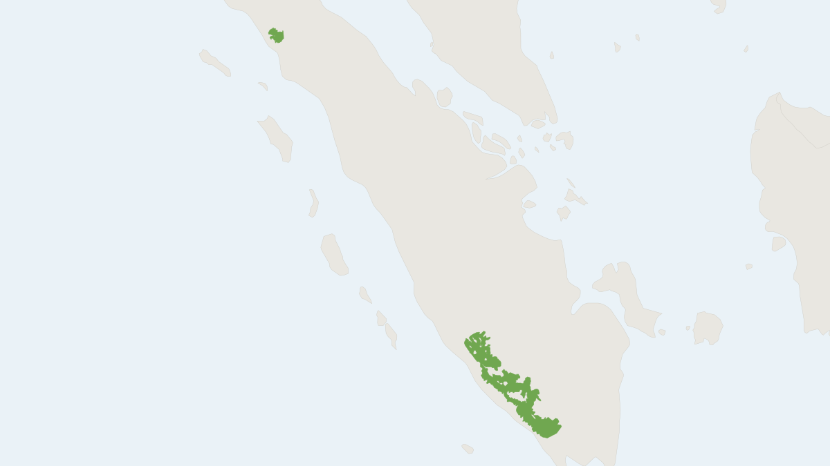 Range map of the Sumatran Striped Rabbit (Nesolagus netscheri)